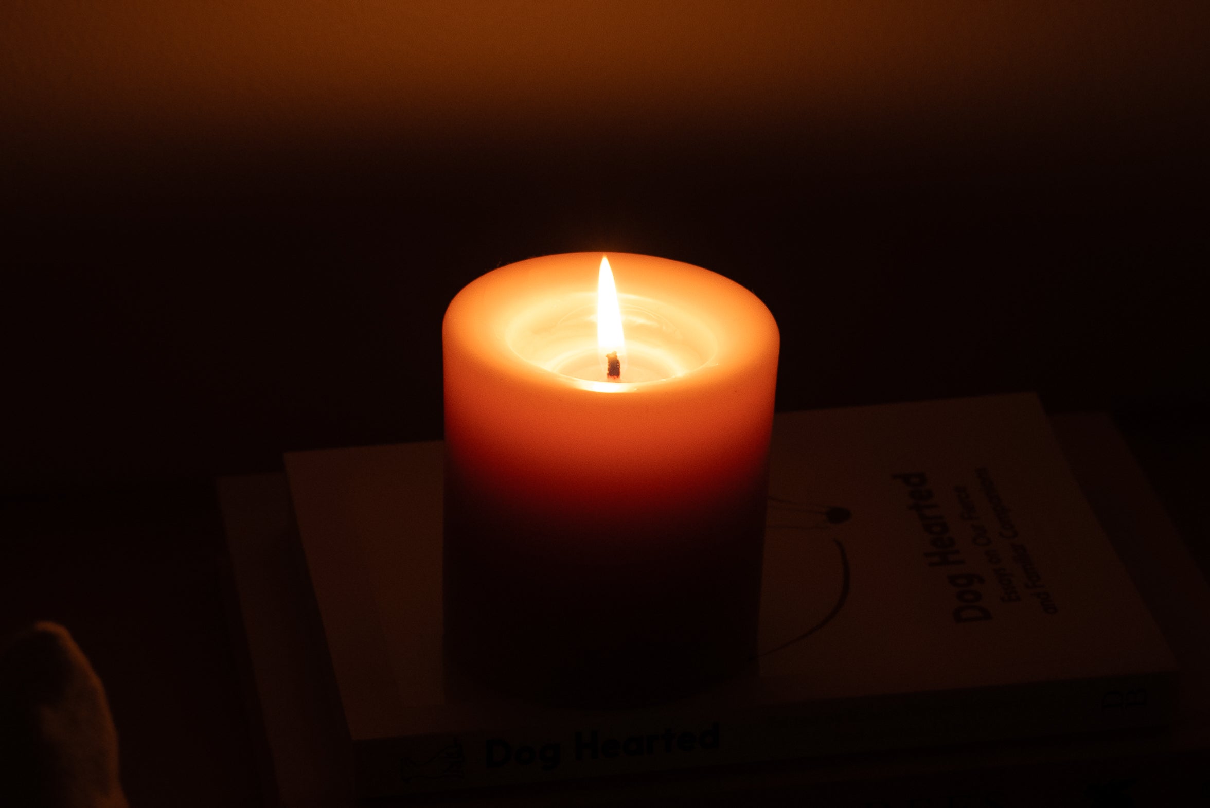 Medium Round Beeswax Pillar Candle - 60 hour burn